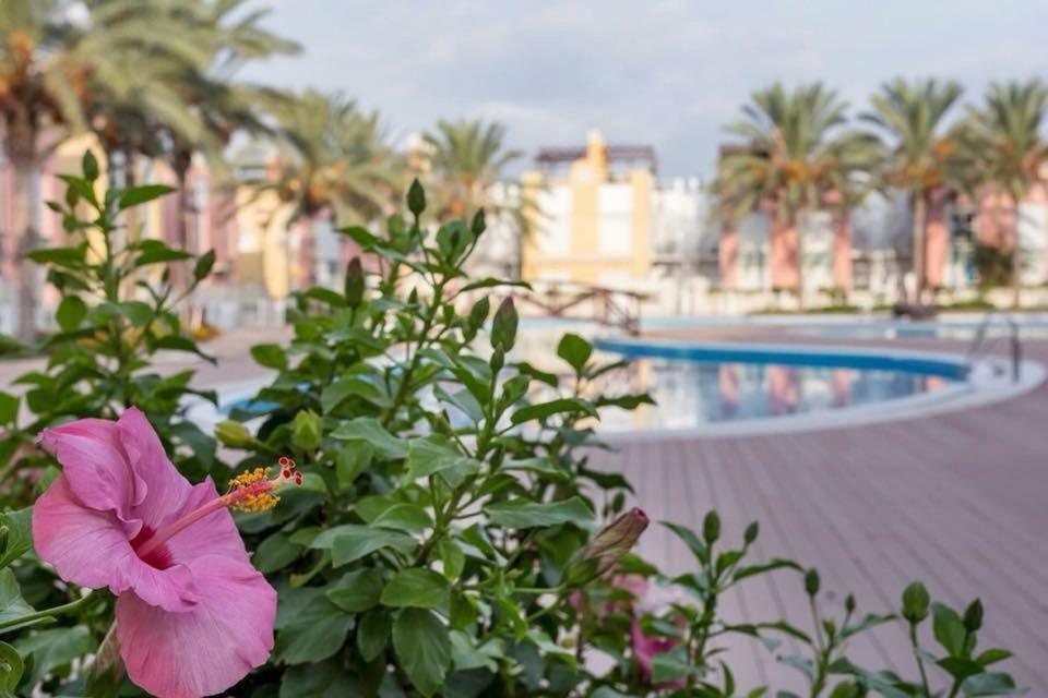 Atico Del Sol Laguna Beach Vera Playa מראה חיצוני תמונה
